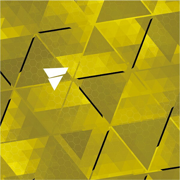 ◆◆ <ヴィクタス> VICTAS 吸着保護シート NGS 303 (20個セット) 801131 (3300)マスタード 卓球