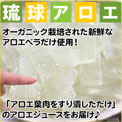 琉球アロエ 1000ml×2本セット エコパック 沖縄産 アロエベラジュース アロエドリンク オーガニック 国産 送料無料 国際オーガニック・テクニカル協会認定 食物繊維 たっぷり アルミパウチ 有機JAS認定無農薬 有機栽培 - Image 3