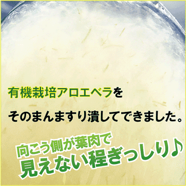 琉球アロエ【1,000mlエコパック×2本】⇒オーガニック認定農場の安全なアロエベラを「すり潰しただけ」の新鮮アロエジュース!【賞味期限2021.12.01】アロエベラ ジュース 沖縄産 食物繊維 オーガニック