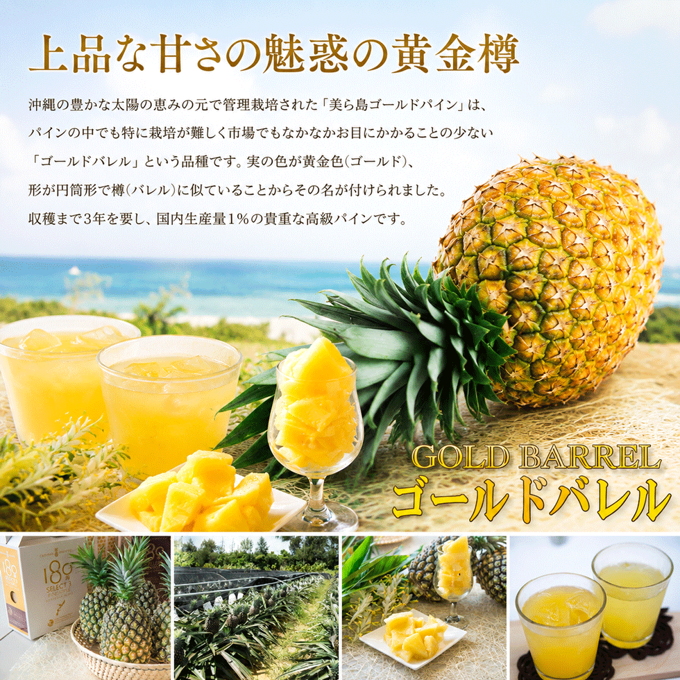 ゴールドバレル 2.0kg 1玉 Lサイズ パイナップル 沖縄産 東村 日本一の生産量 ゴー...