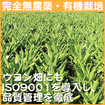 【送料無料】琉球酒豪伝説 6包入り お試し1袋⇒発売15年の実績を誇るウコンブランド！沖縄産ウコンの力で忘年会、二日酔い、飲み過ぎを乗り切ろう！【酒豪伝説】【6包入】【琉球酒豪伝説】