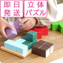 【レビュー特典あり】 ラッピング無料 賢人パズル エドインター 即納 立体パズル 積み木 木のおもちゃ 知育玩具 1歳 2歳 3歳 脳トレ