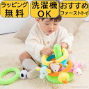 わなげ ふわふわなげっこ エドインター 布おもちゃ 知育玩具 ラトル 誕生日 赤ちゃん 0歳 1歳 男の子 女の子