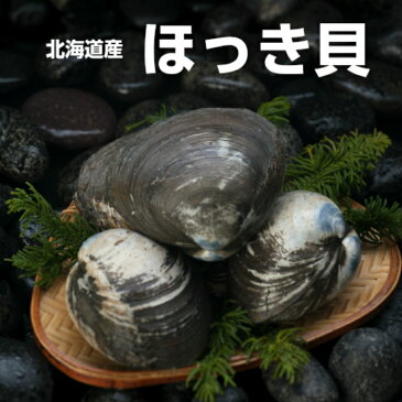北海道産 天然ほっき貝 中サイズ5玉