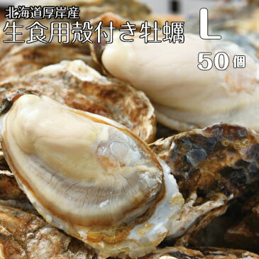 【マルえもん Lサイズ50個】北海道厚岸産本養殖牡蠣生食用