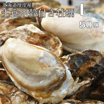 【マルえもん　Lサイズ50個】北海道厚岸産本養殖牡蠣生食用