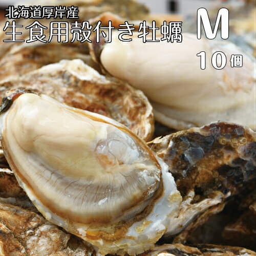 牡蠣 【マルえもん　Mサイズ10個～50個】北海道厚岸産本養殖牡蠣生食用