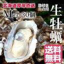 【マルえもん　Mサイズ30個】北海道厚岸産本養殖牡蠣生食用