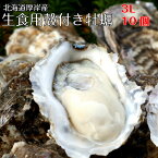 【マルえもん　3Lサイズ10～50個】北海道厚岸産本養殖牡蠣生食用