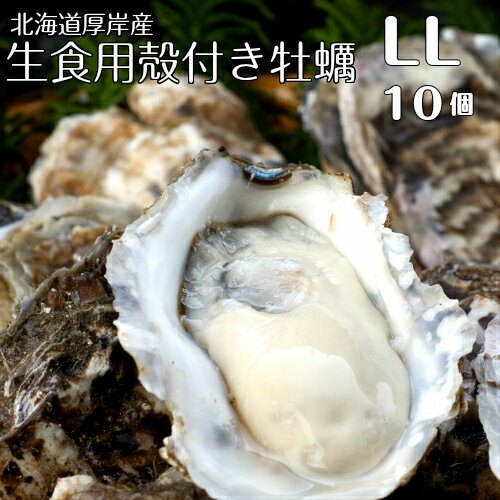 【マルえもん LLサイズ10個~50個】北海道厚岸産本養殖牡蠣生食用