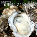 【マルえもん　LLサイズ10個～50個】北海道厚岸産本養...