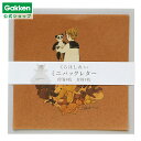 【 学研 公式 】 くらはしれい ミニパック レター くま JD04089 学研ステイフル 文具 雑貨
