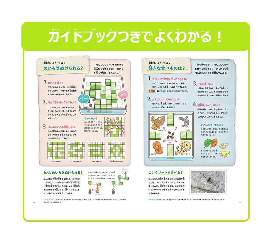 自由研究　科学と学習　だんごむし　わくわく　めいろハウス　だんごむし飼育セット　子供 家 遊び　工作　Q750576　学研ステイフル 夏休み 夏工作 3