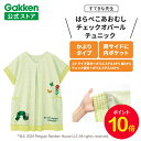 【お買い物マラソン限定P10倍】学研 すてきな先生 はらぺこあおむし チェックオパールチュニック ライトグリーン 絵本シリーズ エプロン 保育士 かわいい おしゃれ 保育園 幼稚園 ゆったり ポリエステル 人気 かっぽう着 スモック