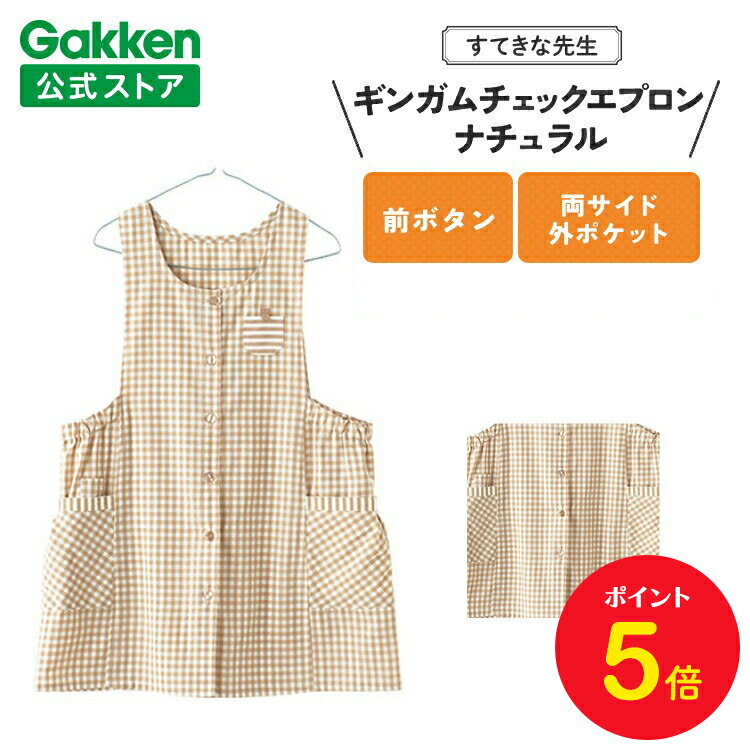 【BF限定P5倍】学研 すてきな先生 保育士エプロン ギンガムチェックエプロン M L 2L 3L 4L 5L ナチュラル エプロン 保育士 かわいい おしゃれ...