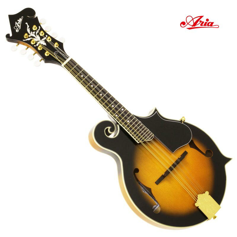 ARIA/եåȥޥɥ Mandolin AM-40ҥꥢ