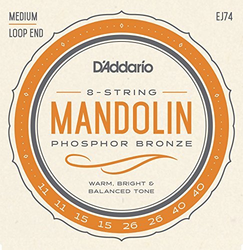 D'addario/ޥɥ/EJ74 Mandolin/Meduim/Phospor Bronzeҥꥪ