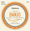 D'addario/バンジョー弦/EJ63 テナー Banjo/Nickel〈ダダリオ〉