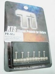 KTS/Titanium Saddles PR-Mu サドル