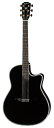 K.Yairi Electric Series YD-88BK〈ヤイリ〉