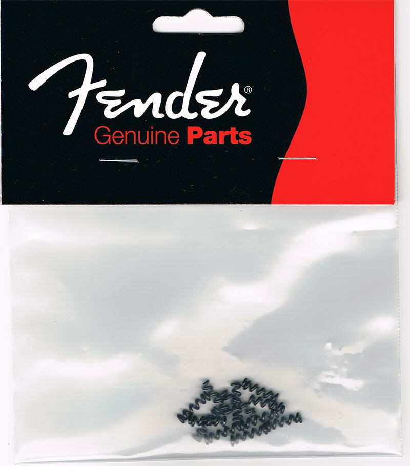 Fender ȥƥ󥷥󥹥ץ󥰡ҥեӡ͢ʡ