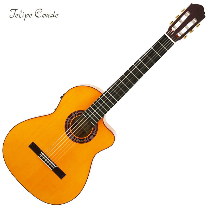 Felipe Conde/Flamenco Guitar ե󥳥 FP14CW Electric ModelҥեڡǡMade in SPAIN