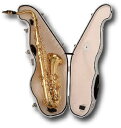 BEST BRASS/e-Sax Tenor ES2-TS テナーサックス用 消音器 サイレンサー〈ベストブラス〉〈イーサックス〉