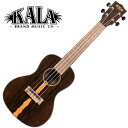 KALA KAZCT-C-WBAG21_01 Ziricote Gloss Concert Ukulele w/bag RT[gENqJr