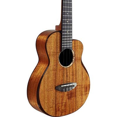 aNueNue aNN-UT3K All Solid Hawaiian Koa Ukulele テナーウクレレ アヌエヌエ