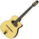 ARIA MM-100/D w/Hardcase マカフェリスタイルアコースティックギター 〈アリア〉