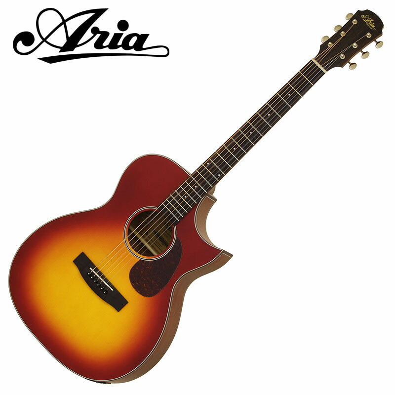 ARIA/GAR 100 series Aria-101CE MTCS (Cherry Sunburst, Matt)qAAr