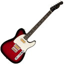 Fender Gold Foil Telecaster Ebony Fingerboard, Candy Apple BurstqtF_[eLX^[r