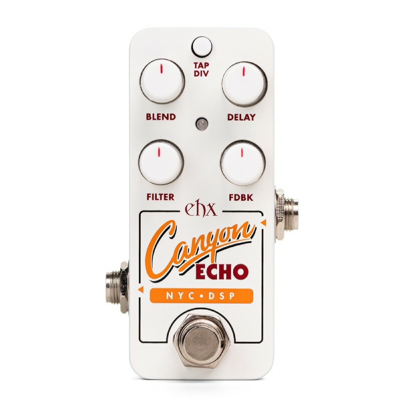 Electro Harmonix PICO CANYON ECHO デジタル ディレイ〈エレクトロハーモニクス〉