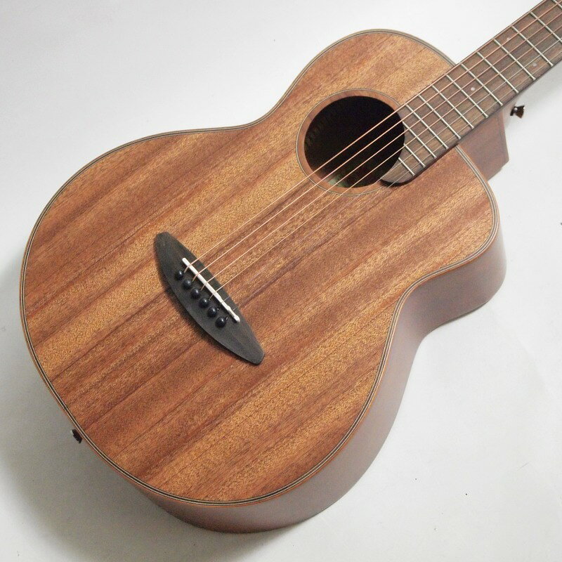 楽天市場】anuenue bird guitar ann－m20の通販