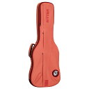 RITTER RGB4-E FRO Electric Guitar エレキギター用ギグバック 〈リッター〉