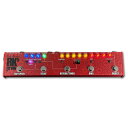 TECH21 RK5 FLY RIG V3 Richie Kotzen Signature Model リッチー・コッツェン〈サンズアンプ〉(2)
