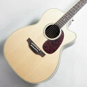 Takamine/エレアコ700シリーズ DMP761C N〈タカミネ〉