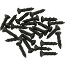 Fender Pickguard/Control Plate Mounting Screws (24) (Black) ピックガードスクリュー〈フェンダー〉