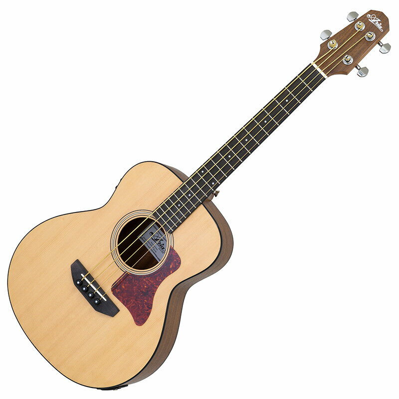 【2/5-9 P5or10倍！(一部対象外)】ARIA ABM-500 ミニエレアコベース アリア