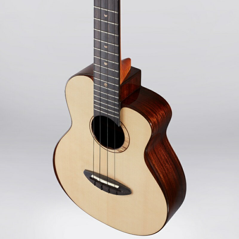 aNueNue aNN-UT200E Bird Ukulele Moon Bird �ƥʡ�������� �ԥå����å���� ���̥��̥�