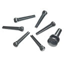 Planet Waves PWPS9 Ebony ABS樹脂ブリッジピン&エンドピンセット〈プラネットウェーブス〉
