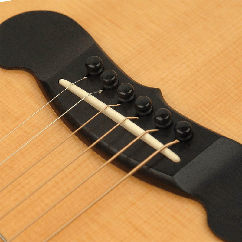 Planet Waves PWPS9 Ebony ABS樹脂ブリッジピン＆エンドピンセット〈プラネットウェーブス〉