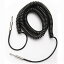 D'Addario PW-CDG-30BK Coiled Instrument Cables (롦֥) ҥꥪ