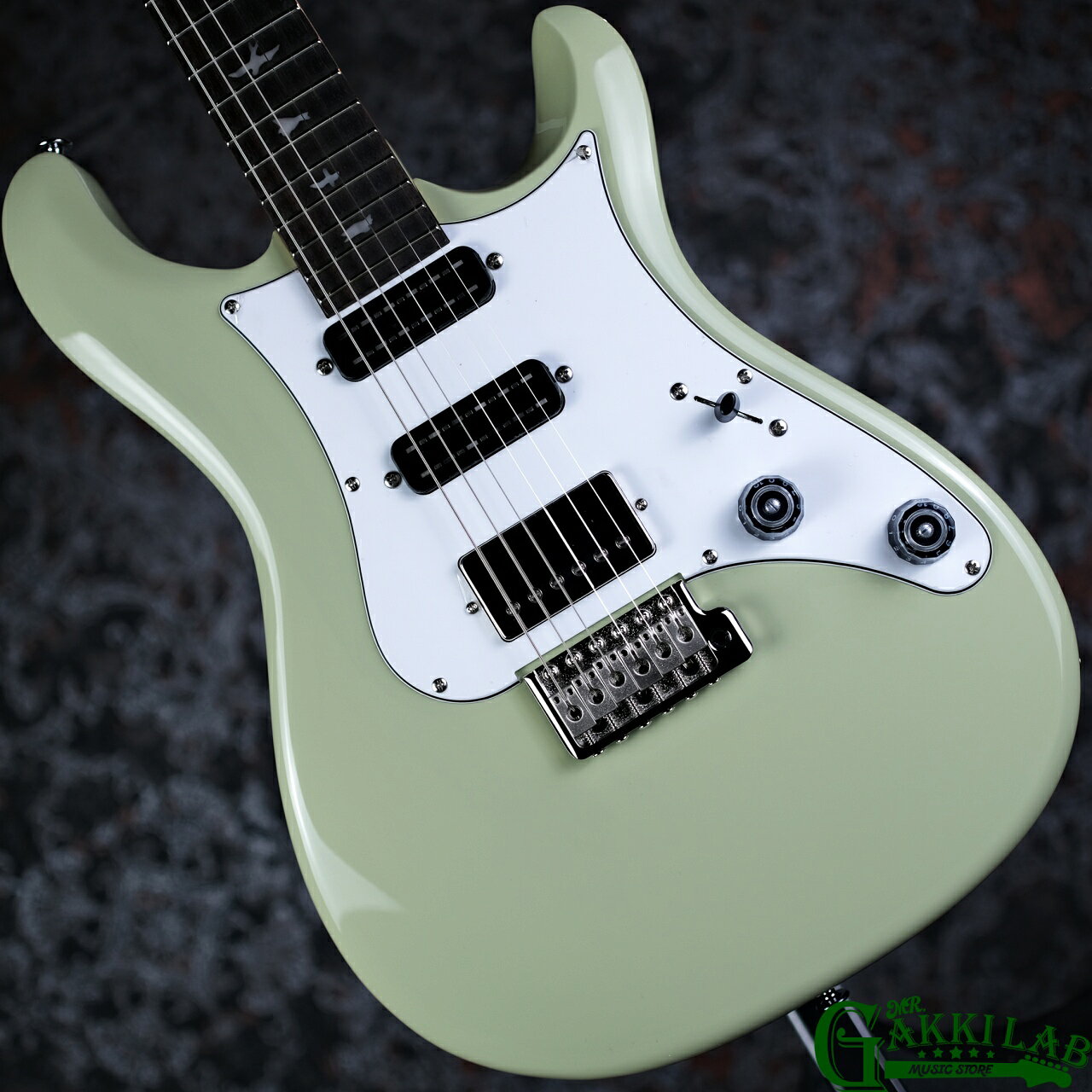 Electric Guitars - Paul Reed Smith(PRS) 2025 SE Studio Standard Sage Green ポールリードスミス ギター スタジオ スタンダード【3.51kg】【現物画像】【MR GAKKI LAB】【正規認定の職人が検品を行い、最適なセッティングでお届けします】