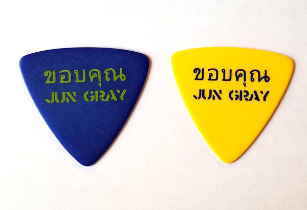 ڥ᡼زġSCHECTERԥå JUN GRAY / Ken Yokoyama Band SPA-JG ƥȥԥå