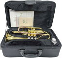 J Michael ( Jマイケル ) CT-420 コルネット 新品 アウトレット ラッカー ショート B♭ short cornet gold 管楽器　北海道 沖縄 離島 代引き 同梱不可 その1