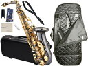 Antigua ( アンティグア ) AS4248 パワーベル BG アルトサックス ブラック ゴールド AS-830 ケース セット alto saxophone powerbell Black nickel 　北海道 沖縄 離島不可