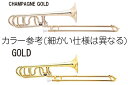 ZO ( ゼットオー ) TB-08 テナーバストロンボーン シャンパンゴールド アウトレット プラスチック 太管 管楽器 tenor bass trombone GOLD セット B　北海道 沖縄 離島不可 3
