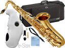 YAMAHA ( ヤマハ ) YTS-480 テナーサックス ラッカー 管楽器 テナーサクソフォン ゴールド Tenor saxophone gold e-Sax ES2-TS セット　北海道 沖縄 離島不可