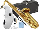 YAMAHA ( ヤマハ ) YTS-62 テナーサックス ラッカー 日本製 管楽器 テナーサクソフォン Tenor saxophone gold e-Sax ES2-TS セット　北海道 沖縄 離島不可